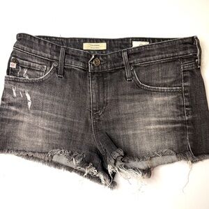 AG Adriano Goldschmied Dark Wash Denim